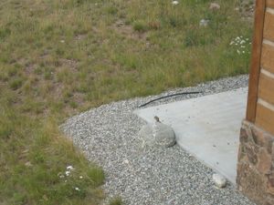 small_IMG_3496.jpg
