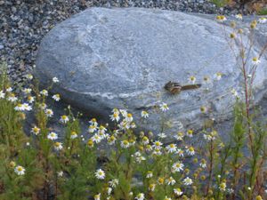 small_IMG_3515.jpg