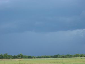 small_IMG_1254.JPG