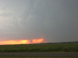 small_IMG_1354.JPG