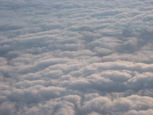 small_IMG_0570.jpg