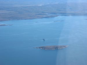 small_IMG_0895.jpg
